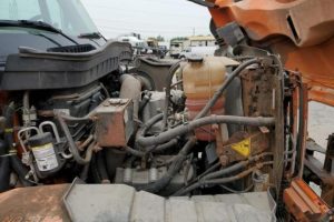 WhatsApp Image 2024-01-19 at 10.30.25