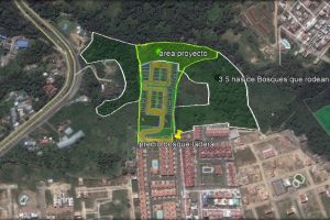 PRESENTACION BOSQUE LADERA 2021 (1)