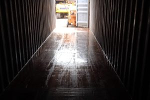 WhatsApp Image 2024-02-13 at 14.36.09 (1)