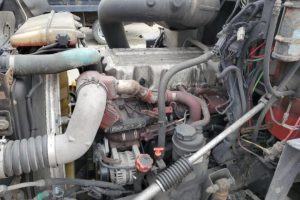 WhatsApp Image 2025-04-23 at 2.18.55 PM (4)