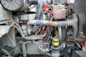 WhatsApp Image 2025-04-23 at 2.18.55 PM (6)