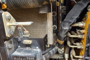 WhatsApp Image 2025-04-23 at 2.49.44 PM (1)