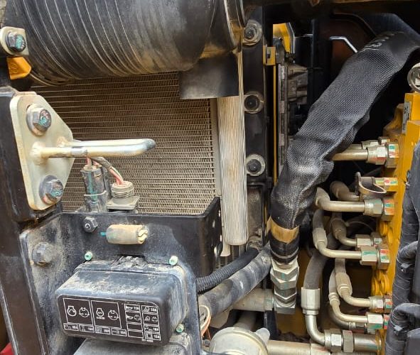 WhatsApp Image 2025-04-23 at 2.49.44 PM (1)