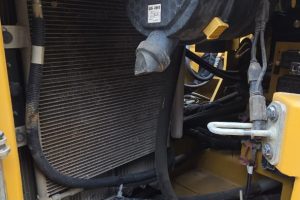 WhatsApp Image 2025-04-23 at 2.52.09 PM (2)