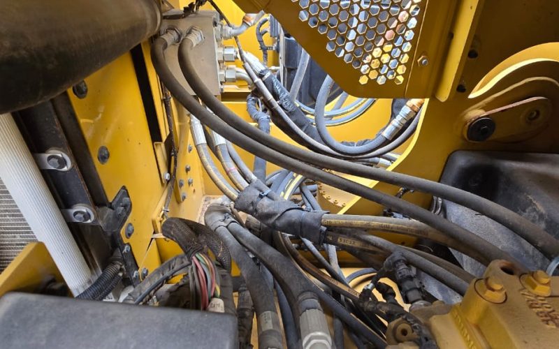 WhatsApp Image 2025-04-23 at 2.52.10 PM (1)