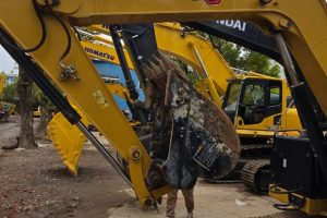 WhatsApp Image 2025-04-23 at 2.52.12 PM (2)