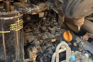 WhatsApp Image 2025-04-23 at 2.56.43 PM (5)